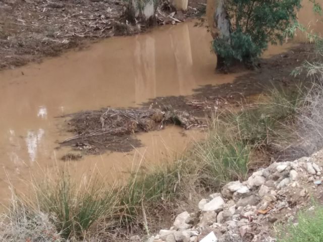 Cs denuncia que Ayuntamiento y CHS han abandonado a su suerte a los vecinos de la Algameca Chica en plena gota fría - 2, Foto 2