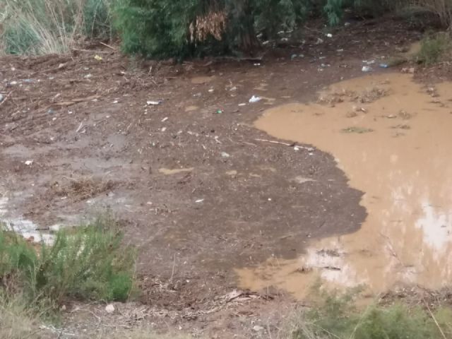 Cs denuncia que Ayuntamiento y CHS han abandonado a su suerte a los vecinos de la Algameca Chica en plena gota fría - 3, Foto 3