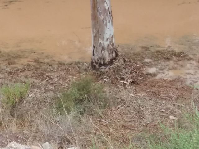 Cs denuncia que Ayuntamiento y CHS han abandonado a su suerte a los vecinos de la Algameca Chica en plena gota fría - 4, Foto 4