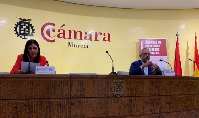 Murcia acoge una jornada sobre prevención de riesgos laborales y vigilancia de la salud - 1, Foto 1