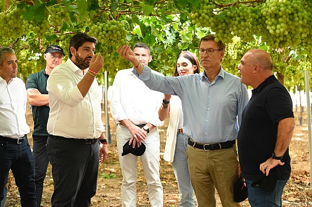 Feijóo reprocha a Sánchez su negativa a deflactar el IRPF mientras el PSOE lo apoya en el País Vasco y Podemos lo exige en la Comunidad de Madrid - 4, Foto 4