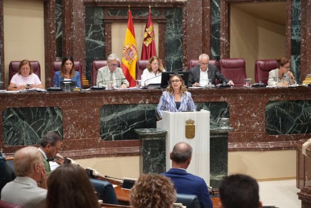 La Comunidad recurre ante el Tribunal Supremo el Real Decreto que incrementa la capacidad de acogida de menores migrantes en la Región La Comunidad recurre ante el Tribunal Supremo el Real Decreto que incrementa la capacidad de acogida de menores migrantes en la Región