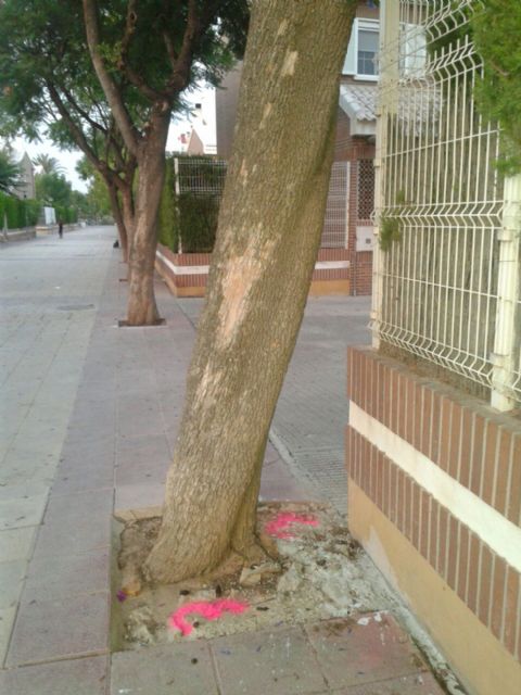 ¿Qué culpa tienen los arboles? - 1, Foto 1