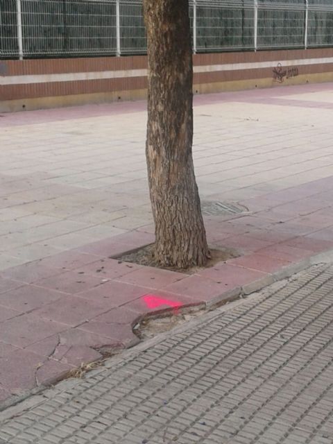 ¿Qué culpa tienen los arboles? - 2, Foto 2