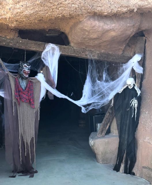 Terra Natura celebra Halloween con un ´escape room´ que invita a descifrar el misterio del guacamayo rojo infectado - 1, Foto 1