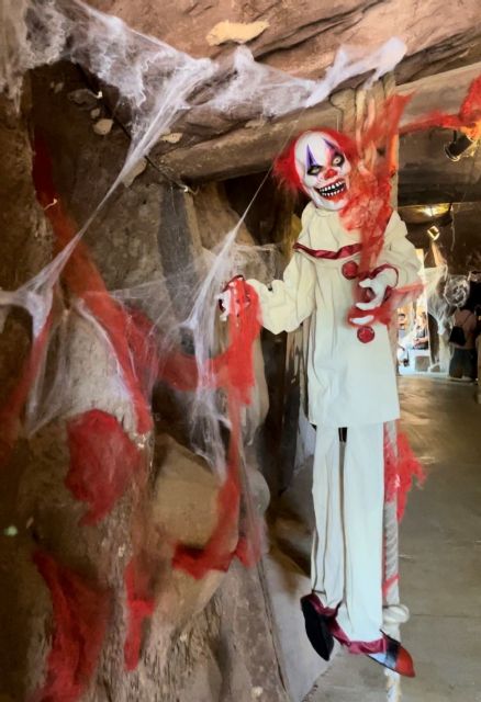 Terra Natura celebra Halloween con un ´escape room´ que invita a descifrar el misterio del guacamayo rojo infectado - 2, Foto 2