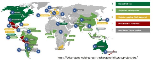 La UE llega tarde a la carrera de la edición genética de plantas y su propuesta para regularla genera dudas - 3, Foto 3