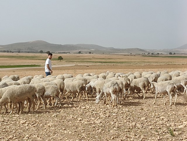 La Comunidad comienza a abonar más de 18,3 millones por el adelanto de las ayudas de la Política Agraria Común - 1, Foto 1