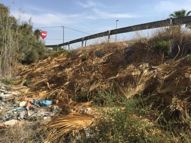 Vecinos de Alquerías piden una reubicación de los contenedores de calle Agustín Virgili y la retirada de escombros y basura junto a la rotonda de entrada a la pedanía - 2, Foto 2