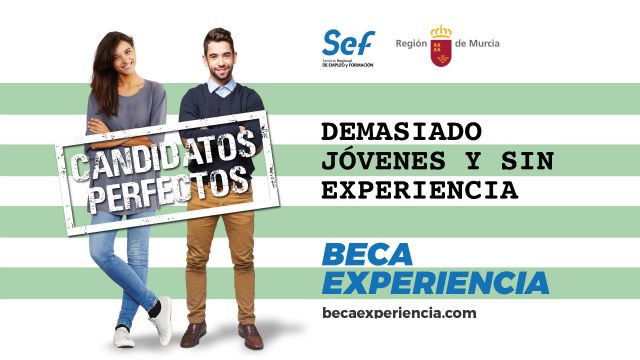 La Comunidad lanza una campaña para acercar las 'Becas Experiencia' del SEF a las empresas - 3, Foto 3