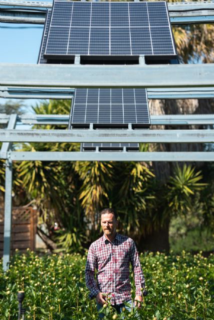 Iberdrola selecciona cuatro proyectos internacionales para impulsar la convivencia de la agricultura y la ganadería con el desarrollo de plantas fotovoltaicas - 1, Foto 1