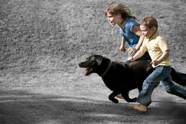 Beneficios para niñas y niños de crecer con mascotas - 1, Foto 1