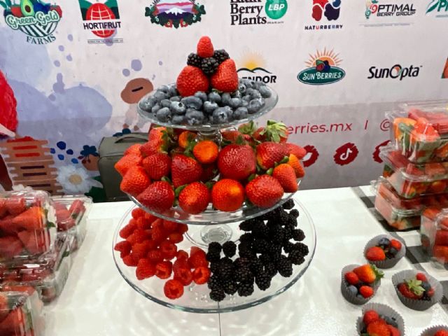 Las Berries de México vuelven a brillar en el Primer Congreso Internacional Agroalimentario de Jalisco (México) - 5, Foto 5