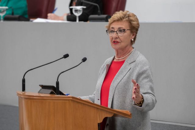 La Asamblea aprueba por unanimidad las 33 propuestas de resolución acordadas en la Comisión Especial de Discapacidad - 2, Foto 2