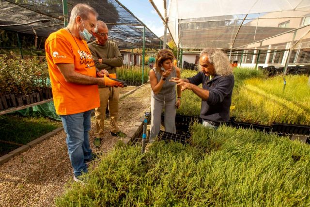 El Cartagena Jazz Festival, Soltec y Anse realizarán un voluntariado de recuperación de flora autóctona en Tallante - 1, Foto 1