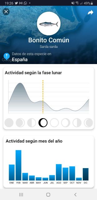 La startup murciana WeFish lanza nueva ronda de inversión: 700.o00 euros para conquistar el mercado internacional - 2, Foto 2