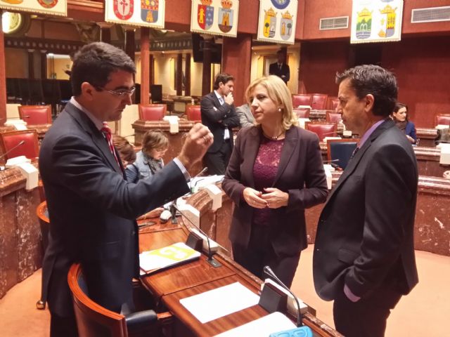 Ciudadanos critica el conservadurismo de la Consejería de Familia e Igualdad de Oportunidades y propone medidas innovadoras - 1, Foto 1