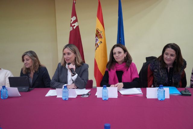 El Consejo de Coordinación Territorial da luz verde al Plan Regional de Servicios Sociales que beneficiará a más de 90.000 personas - 2, Foto 2