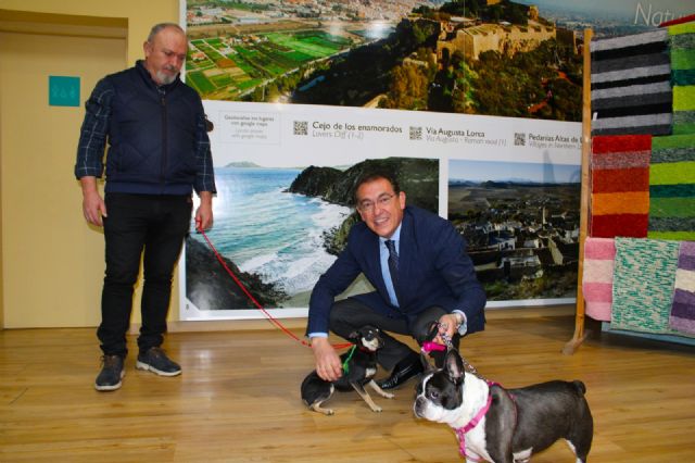 Lorca acoge el domingo la X edición de ´La ruta canina al Castillo´ con motivo de San Antón - 2, Foto 2