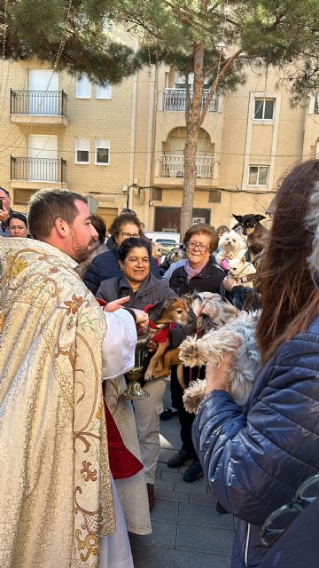 Bendición de mascotas con motivo de la festividad de San Antón - 3, Foto 3