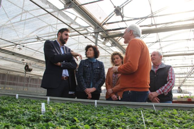 El vicepresidente del Gobierno Región de Murcia, José Ángel Antelo, visita Puerto Lumbreras para apoyar al sector agrícola - 3, Foto 3