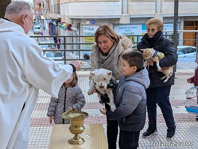 La Festividad de San Antón, Foto 2