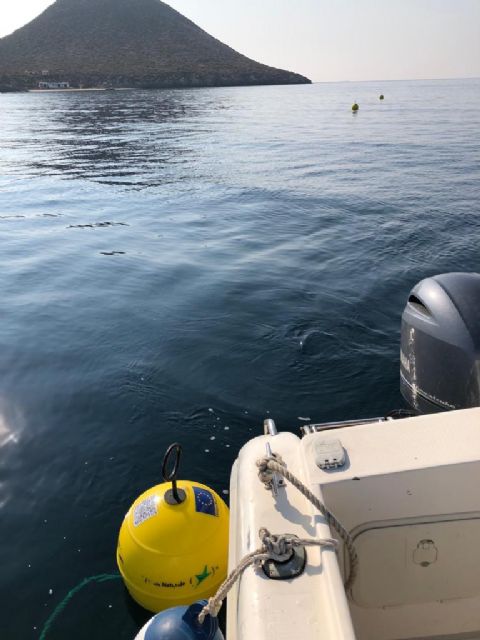 Unos 1.500 barcos usarán cada verano los 30 fondeos ecológicos de la Isla Grosa - 2, Foto 2