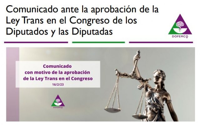 Comunicado de DoFemCo ante la aprobación de la Ley Trans - 1, Foto 1