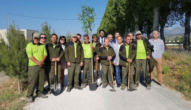 Reforestación del Camino de Levante - 1, Foto 1