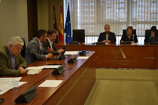 La Asamblea respalda la iniciativa del PP para el impulso del cooperativismo agrícola - 1, Foto 1