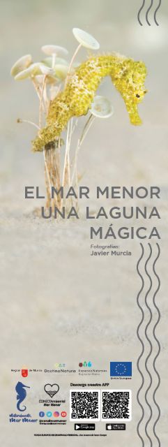 Una exposición con 30 fotografías muestra la riqueza de la flora y fauna submarinas del Mar Menor - 1, Foto 1