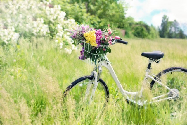 La industria de la bicicleta en España resiste ante un año difícil: - 1, Foto 1