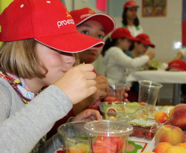 PROEXPORT, entidad elegida para distribuir frutas y hortalizas a 54.000 escolares de la Región de Murcia - 2, Foto 2