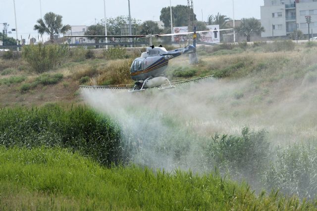 Por tierra, río y aire contra el mosquito tigre - 3, Foto 3