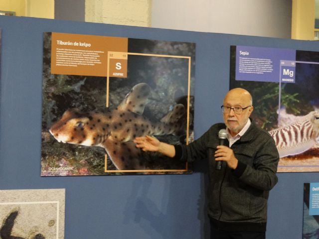 El Oceanogràfic inicia en el Museo de la Ciencia de Murcia su exposición itinerante 'Átomos bajo el agua' - 1, Foto 1