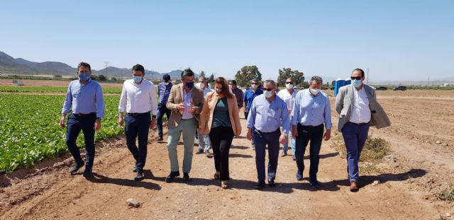 Murcia y Almería se unen para defender los trasvases y los valores de la horticultura del Sureste Español - 4, Foto 4