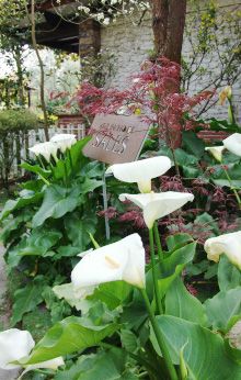 Los jardines secretos (y más bonitos) que puedes encontrar en España - 1, Foto 1