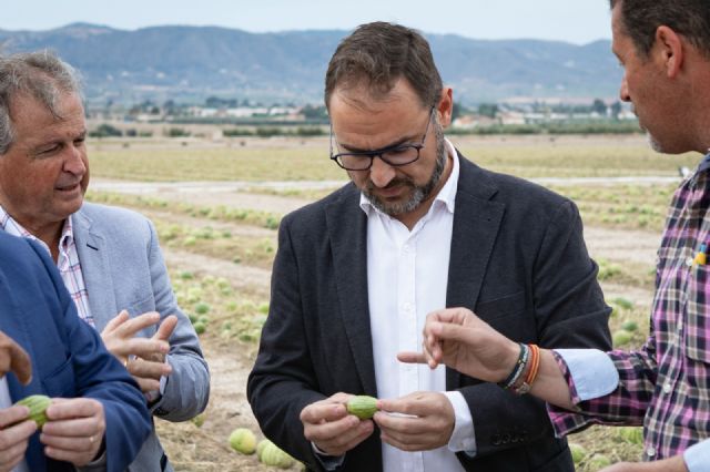 El Ayuntamiento de Lorca habilitará, en el Local Social de Marchena, una oficina de atención a los agricultores afectados por la granizada de este pasado sábado - 2, Foto 2