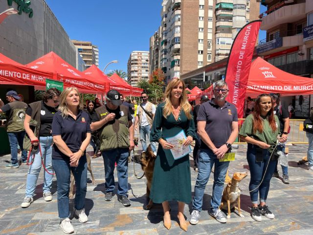 El Ayuntamiento lanza la campaña informativa sobre la gratuidad de la adopció de animales que se encuentran en Zoonosis - 1, Foto 1