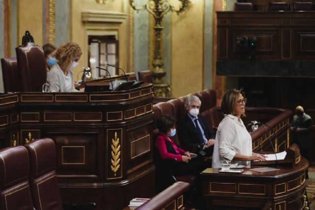 Borrego: El PSOE condena a los agricultores a ver el fin del Trasvase Tajo Segura con su voto en contra en el Congreso - 1, Foto 1