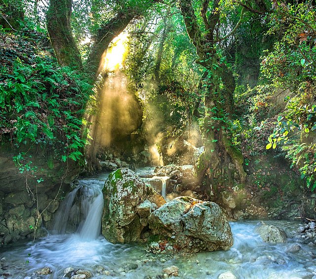 Más de 160 ´biotech´ españolas buscan soluciones para conseguir una industria más verde, según AseBio - 1, Foto 1