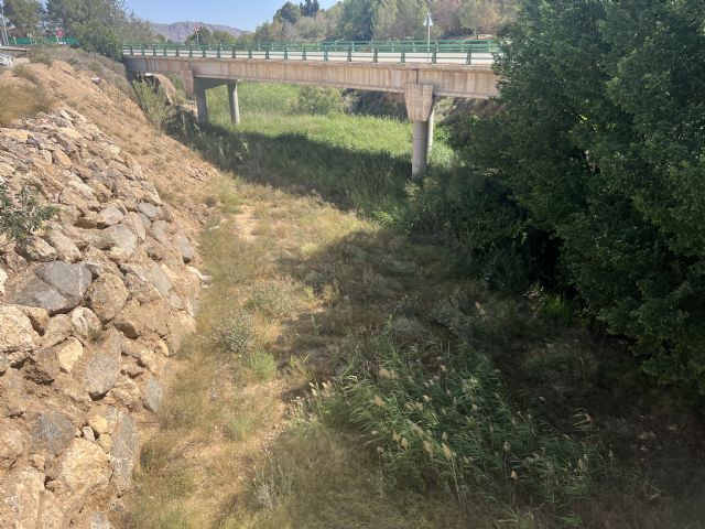 Medio Ambiente solicita a la CHS la limpieza de la Rambla del Judío - 2, Foto 2