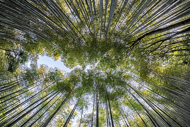 El MITECO destaca el extraordinario avance que supone la Ley de Restauración de la Naturaleza para recuperar y blindar espacios naturales en Europa - 1, Foto 1