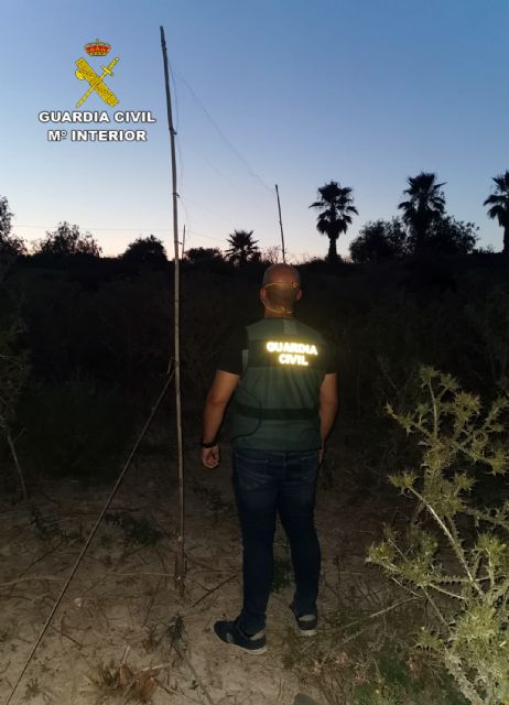 La Guardia Civil desmantela un grupo criminal dedicado a la captura ilegal de aves - 1, Foto 1