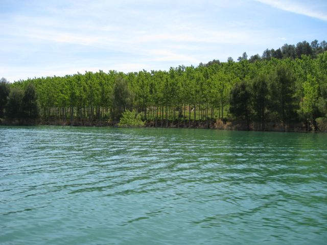 La CHS adjudica el mantenimiento de diversas zonas forestales en los márgenes de varios embalses de la cuenca - 1, Foto 1