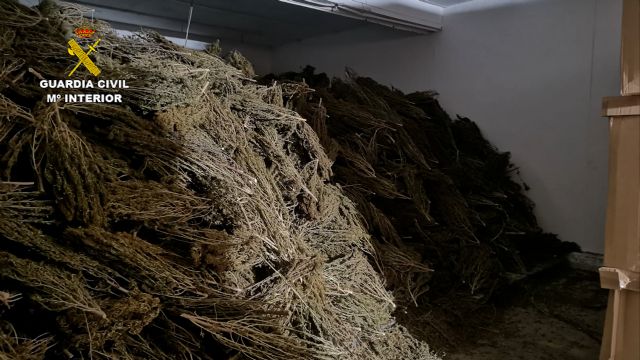 La Guardia Civil se incauta en Águilas de más de cuatro toneladas de cannabis - 3, Foto 3