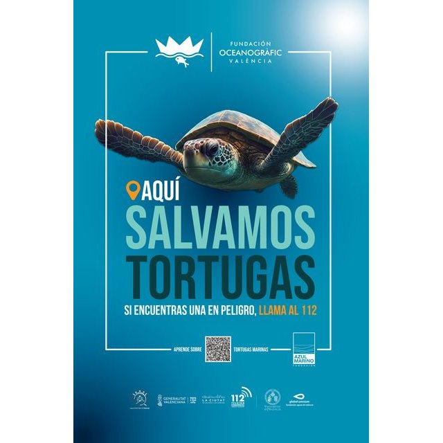 Lorca colabora en las campañas de sensibilización de la tortuga marina Tortugas en el Mediterráneo y Territorio Tortuga - 1, Foto 1