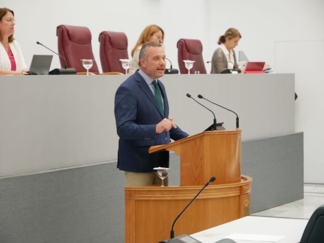 La Asamblea aprueba, a iniciativa del PP, presentar un recurso de inconstitucionalidad contra la Ley de Amnistía, un atentado contra principios fundamentales de la Constitución - 1, Foto 1