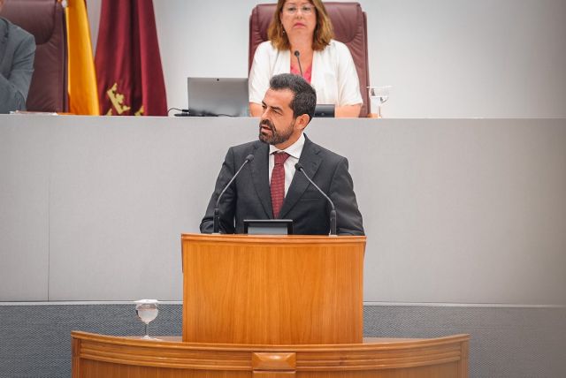 VOX exige al PP firmeza y lealtad en la defensa del recurso de inconstitucionalidad a la Ley de Amnistía - 1, Foto 1