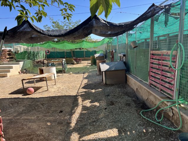 Sergi Guardiola ha visitado las instalaciones del albergue municipal de animales de Jumilla - 2, Foto 2